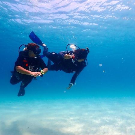 The Dearly Koh Tao Hostel-Padi 5 Star Dive Resort Εξωτερικό φωτογραφία
