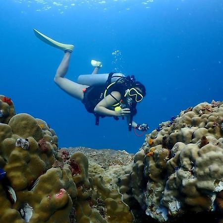 The Dearly Koh Tao Hostel-Padi 5 Star Dive Resort Εξωτερικό φωτογραφία