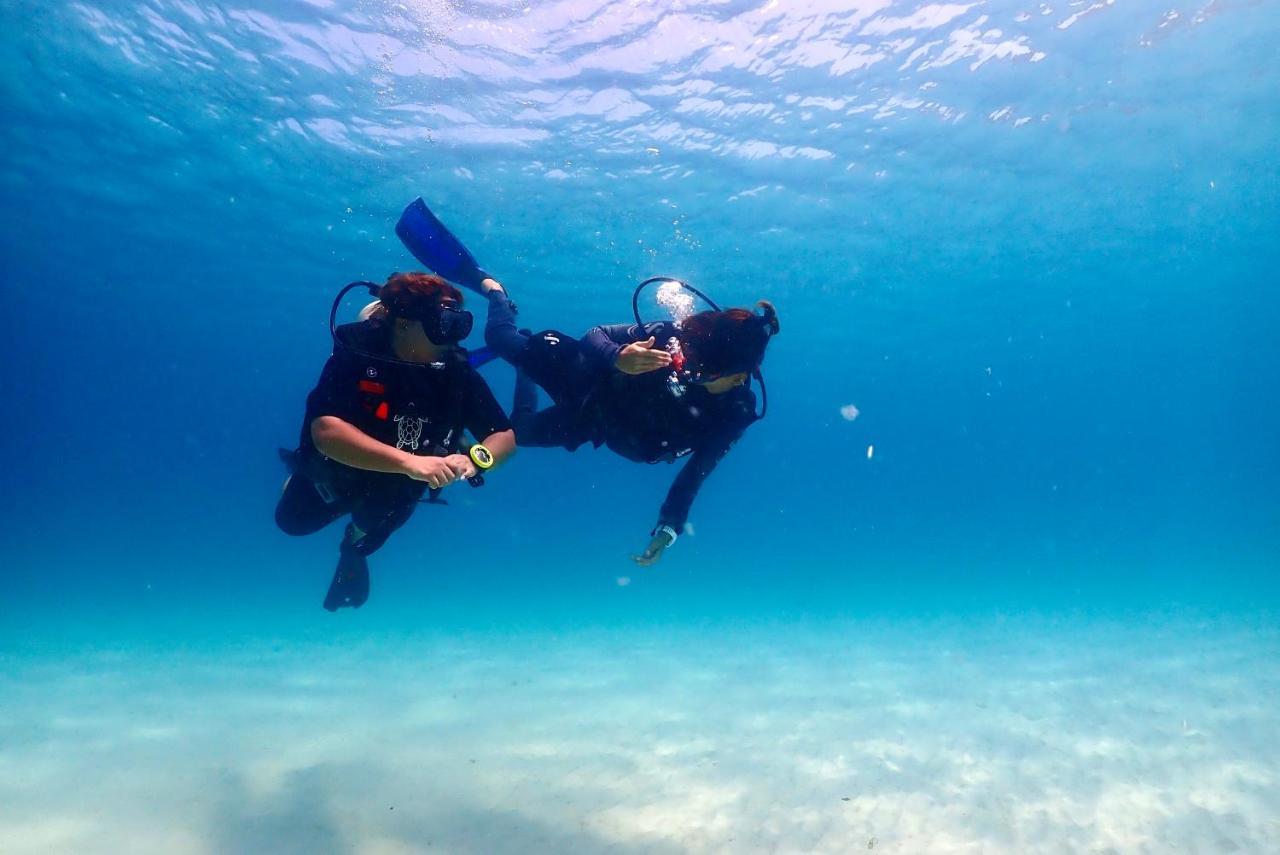 The Dearly Koh Tao Hostel-Padi 5 Star Dive Resort Εξωτερικό φωτογραφία