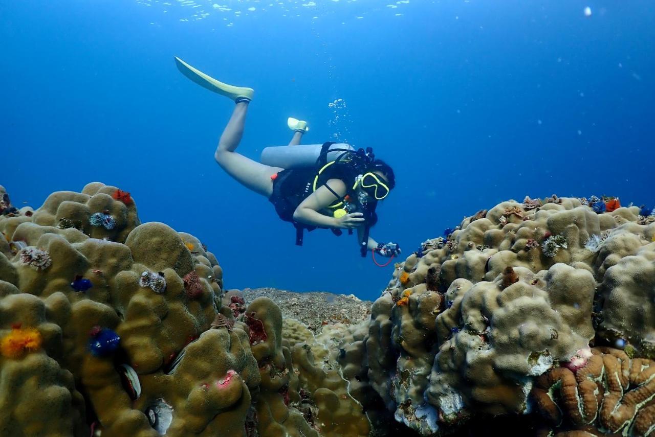 The Dearly Koh Tao Hostel-Padi 5 Star Dive Resort Εξωτερικό φωτογραφία