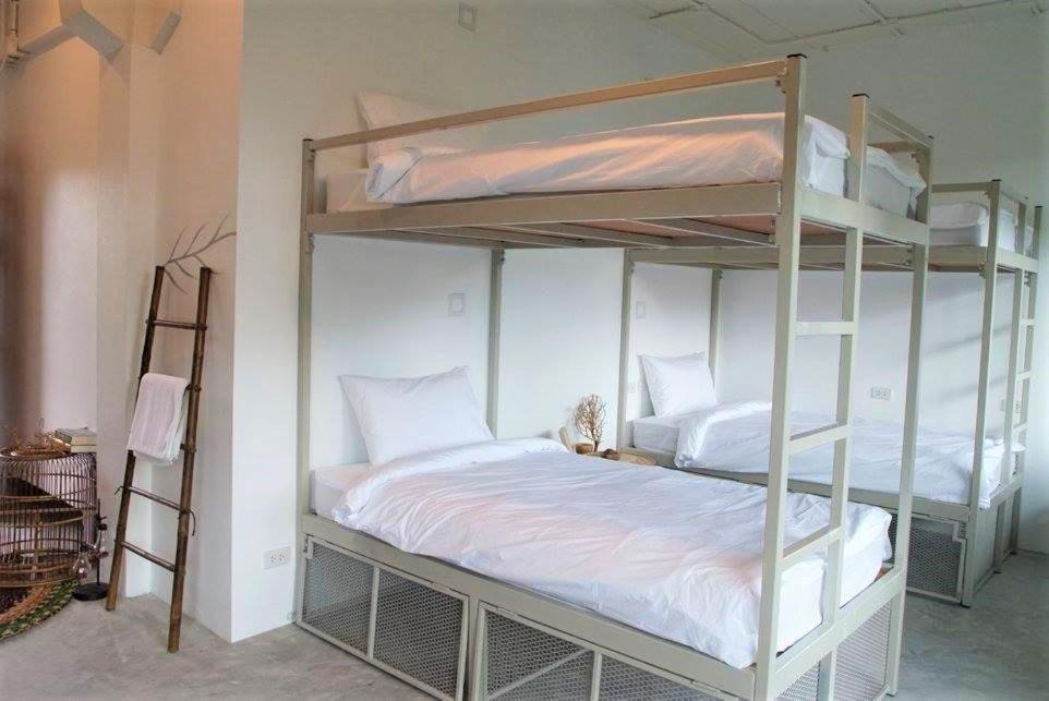 The Dearly Koh Tao Hostel-Padi 5 Star Dive Resort Εξωτερικό φωτογραφία