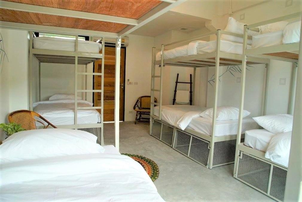 The Dearly Koh Tao Hostel-Padi 5 Star Dive Resort Εξωτερικό φωτογραφία